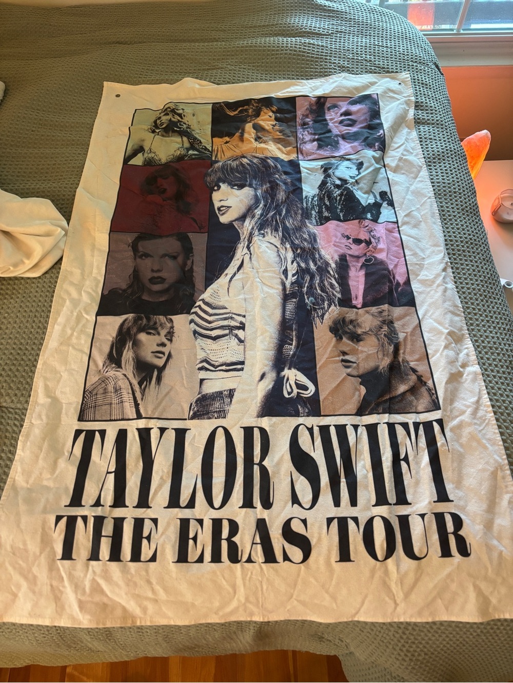 Taylor Swift Multicolor Eras Tour Panel Graphic Tapestry